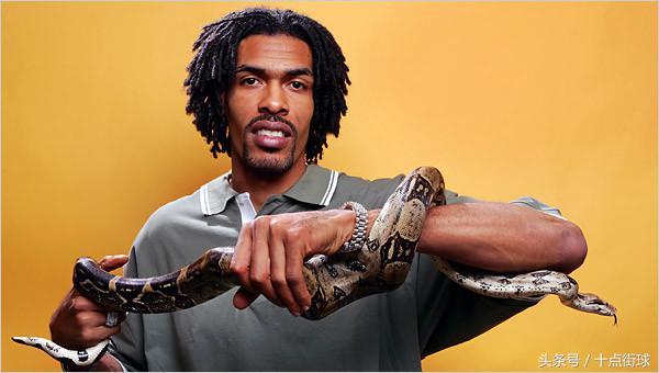 红尾蚺品种全知道：详细的红尾蚺品种介绍