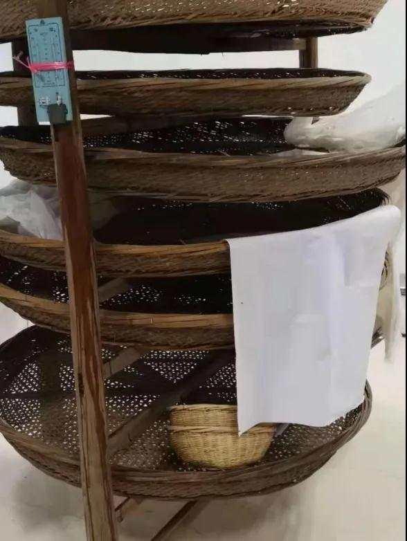 在家养蚕宝宝需要准备什么？