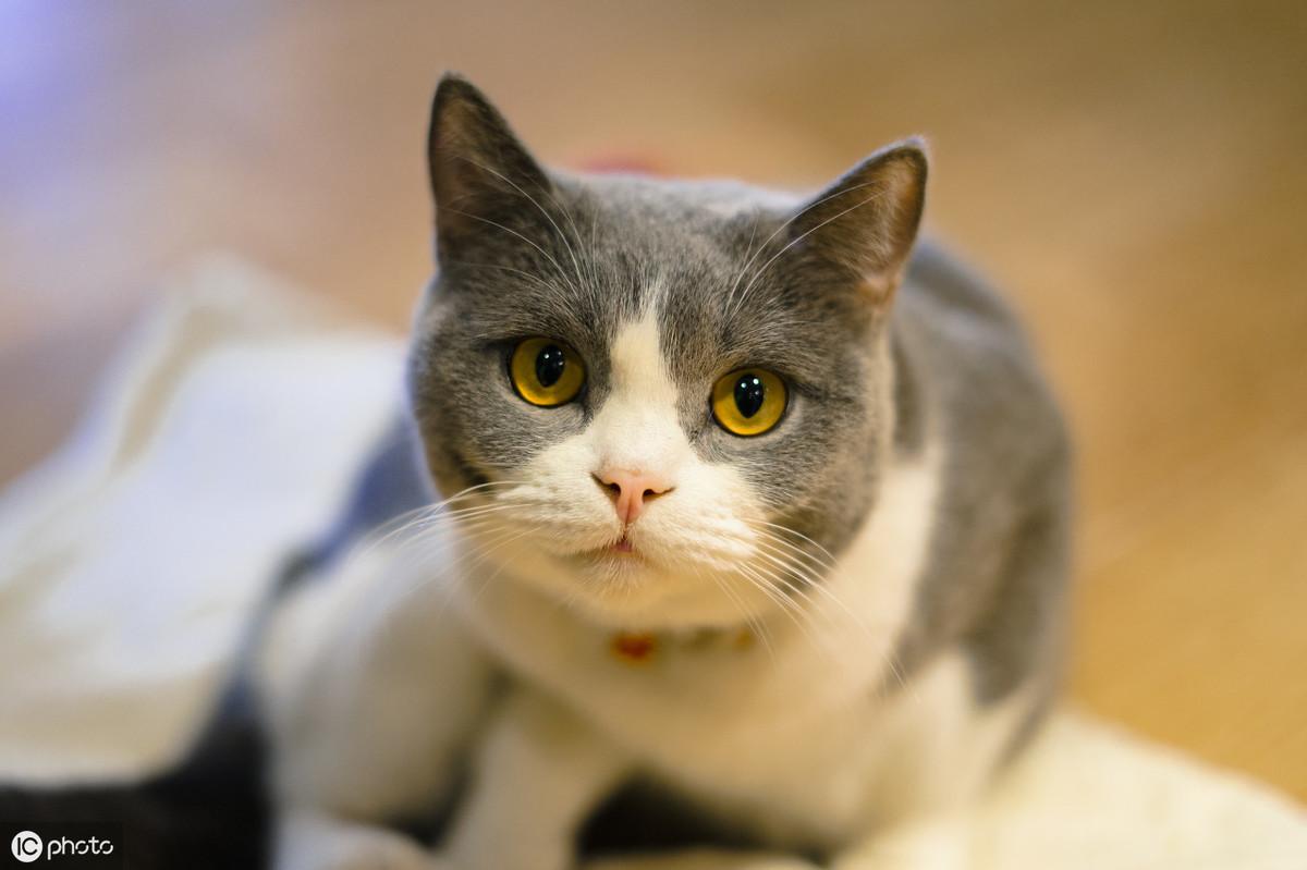 淘宝限时折扣真的能省一半钱吗？