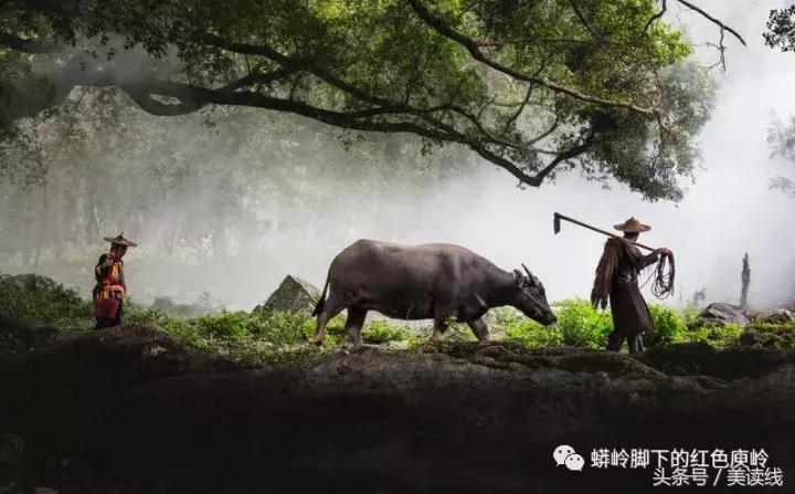 搬家不看黄历真的会倒霉吗? 搬家不看黄历真的会倒霉吗?