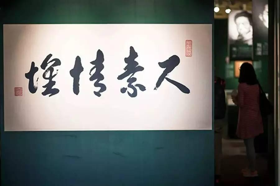 清华猫馆长去世引发学子深情悼念，校园回忆温暖人心