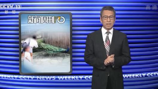 属兔人2023年生日注意事项及运势指南，助你顺利度过重要时刻