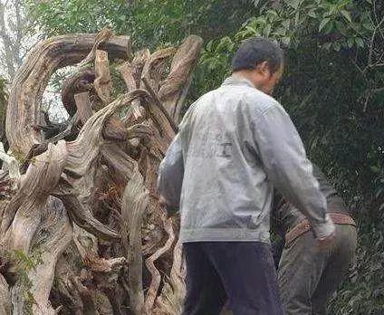 淘宝抢拍真的能抢到便宜好货吗？