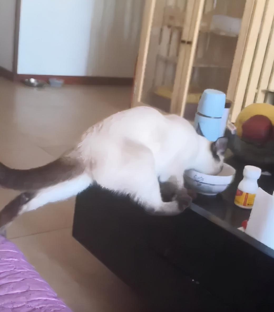 淘宝天猫到底有啥区别？