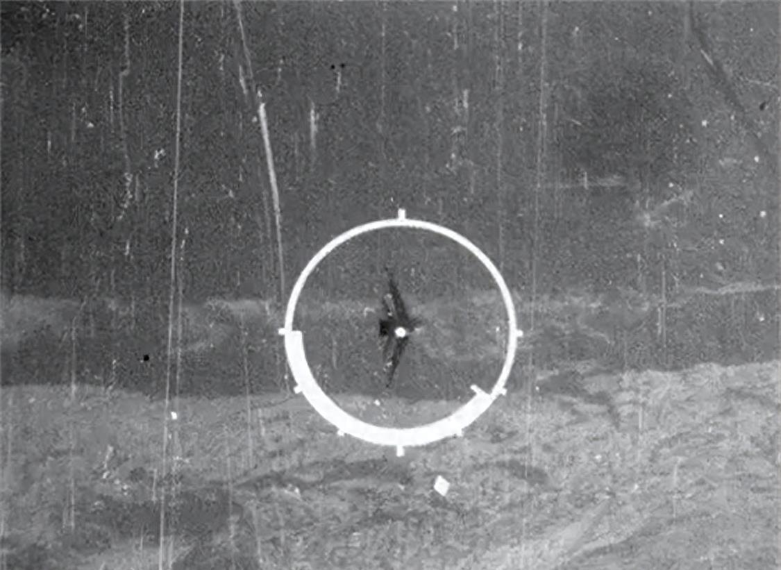 为什么你的鱼缸总像装了雷达？