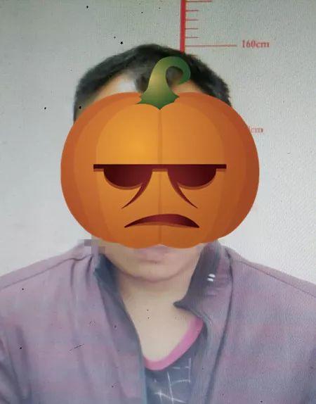 你家狗狗真的能躲过盗狗贼吗？