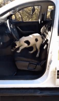 为什么你查的周公解梦总是不准？