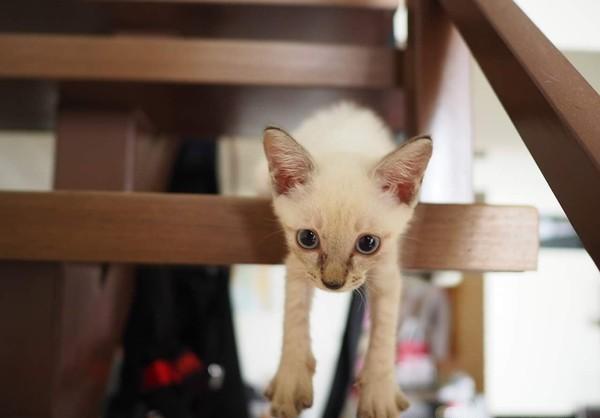 兔年出生的人几月出生命运最好？快来了解一下