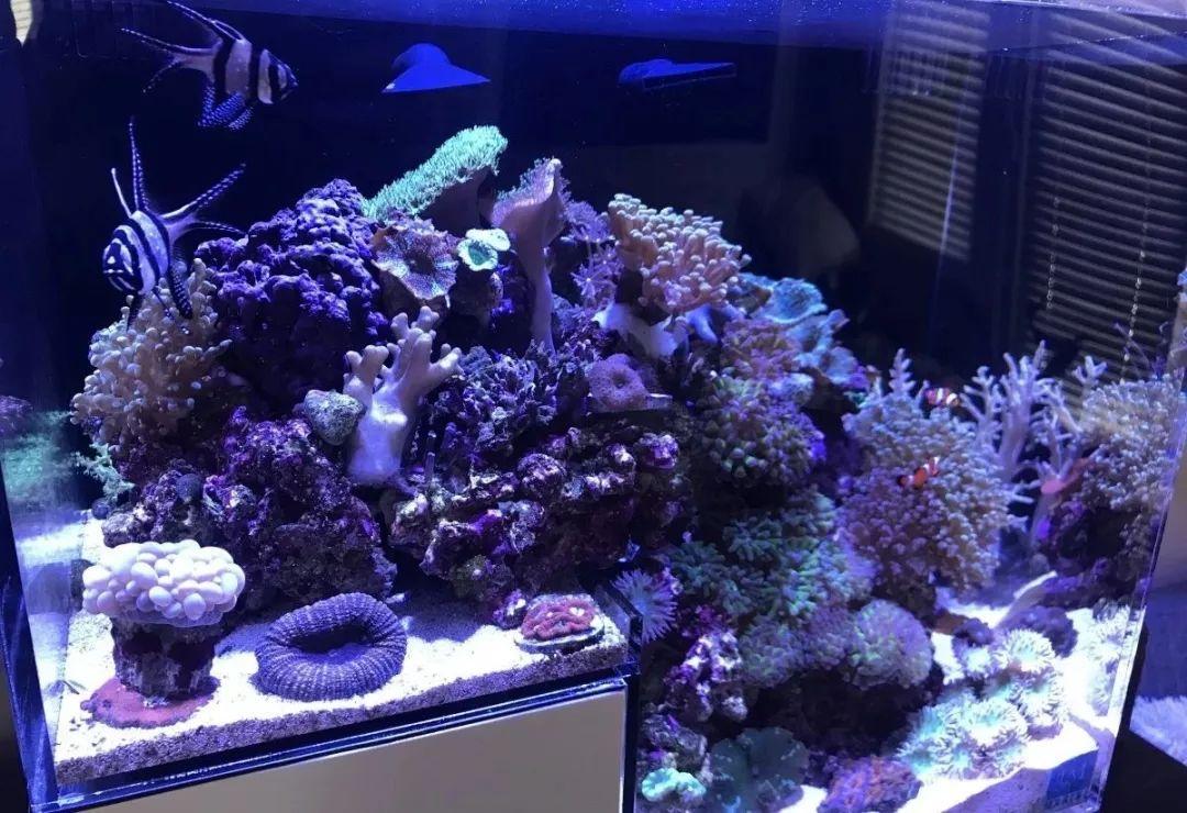 微选购物真的能帮你省下大钱吗？