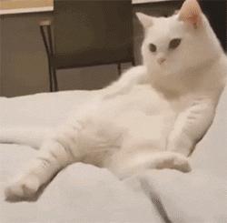 MG7L深度解析：性能与设计的双重突破，如何定义新时代轿跑标准