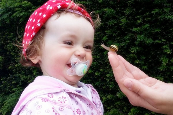 珂姬与科技_珂妃_高昌王妃小说黛珂妃