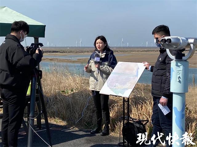 探索鸟类鸣叫的独特特点与作用:从沟通到求偶的全方位解析 探索鸟类鸣叫的独特特点与作用:从沟通到求偶的全方位解析