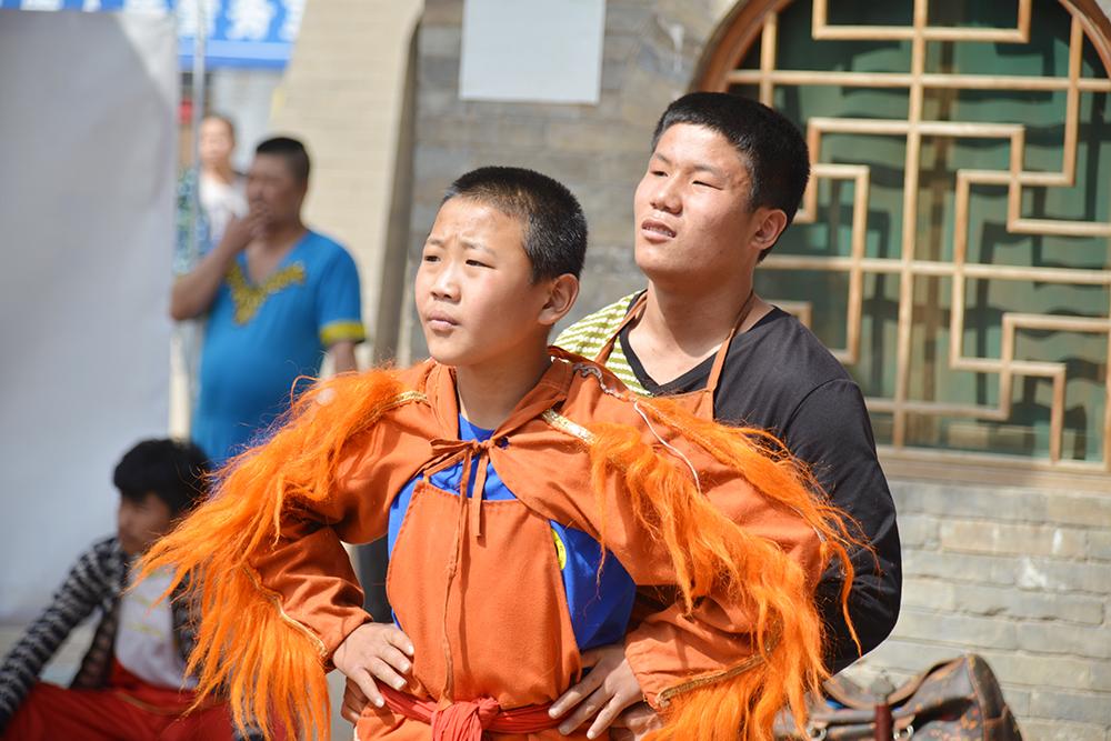 养毛狮真的像养狮子一样可怕吗? 养毛狮真的像养狮子一样可怕吗?