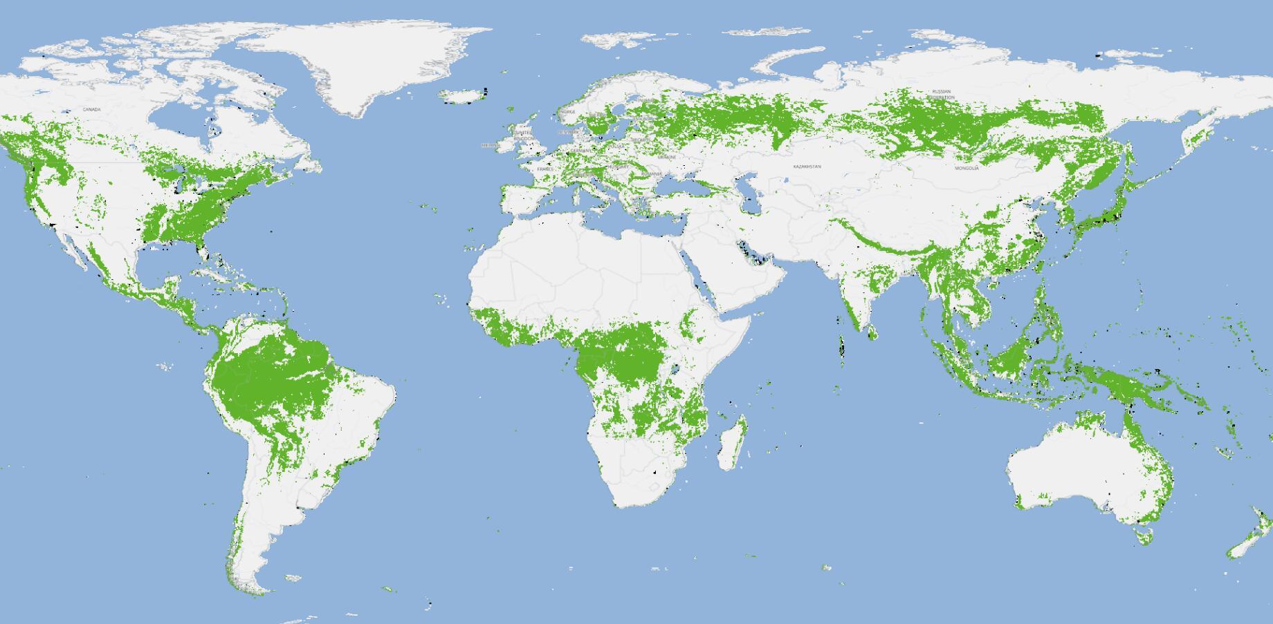 巴西龟张着嘴呼吸是不是要完蛋了？
