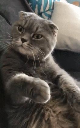 基的部首到底是土还是其？