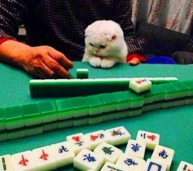 第一次在淘宝买手机怎样才能不被坑？