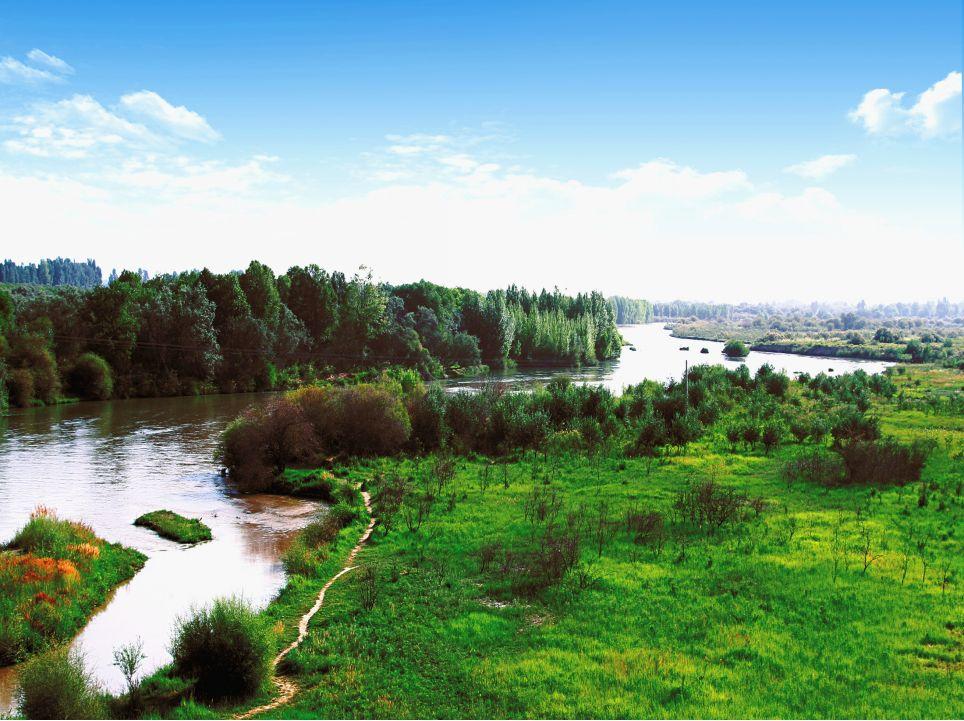 养白尾黑凤头鹦鹉真的很难吗？