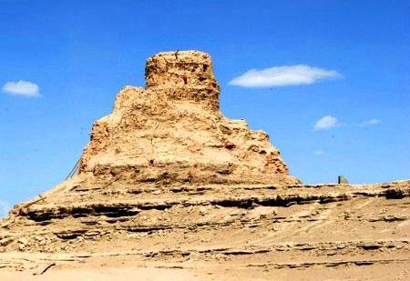 高地孔雀鱼到底有多难养？