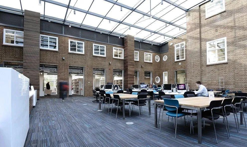 蜥蜴与变色龙的关系：蜥蜴是否包括变色龙？