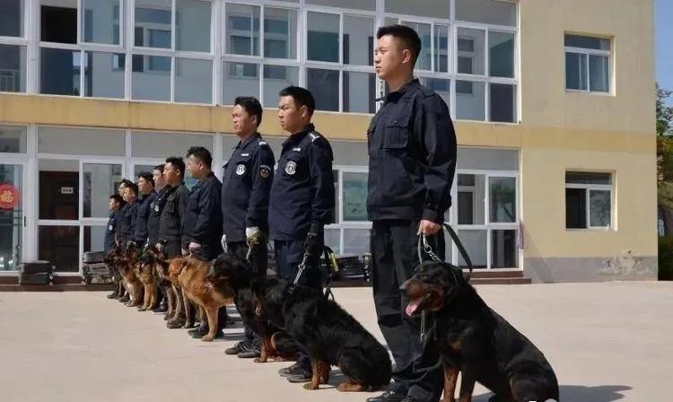 每天被琐事拖垮？这个方法能让你多活2小时？