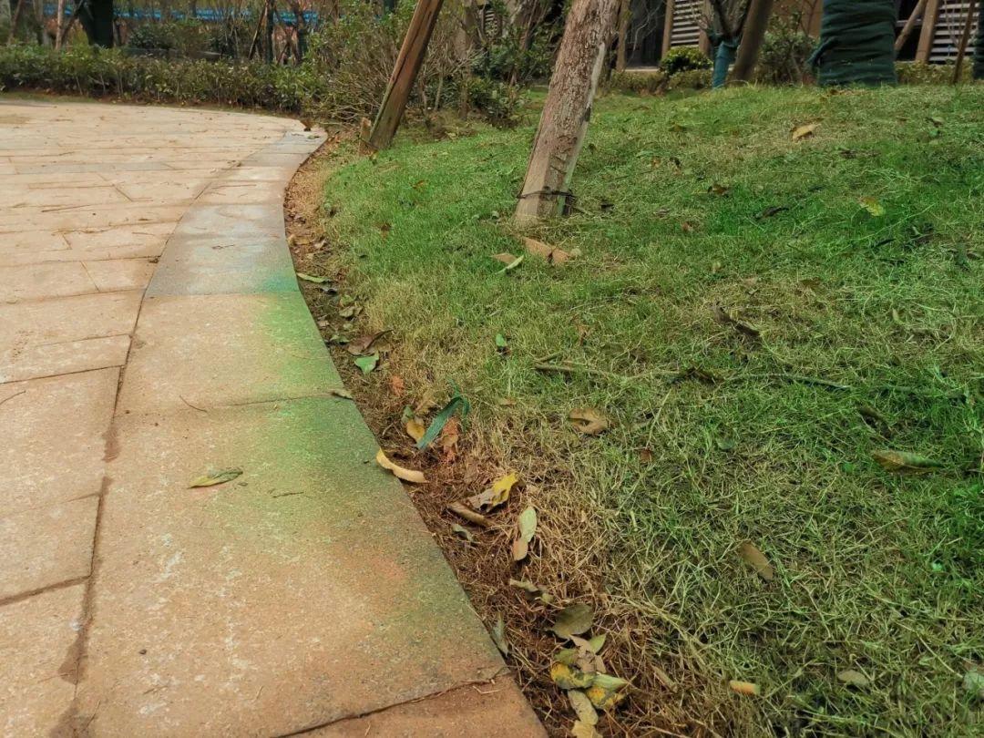 1975年10月20日出生的人命运解析：是什么命？好不好？