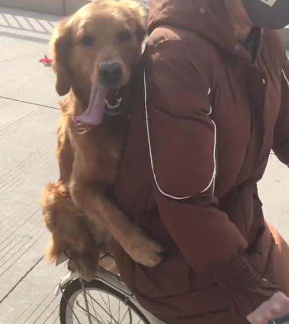 新手玩伊珂为什么总在第一天弃坑？