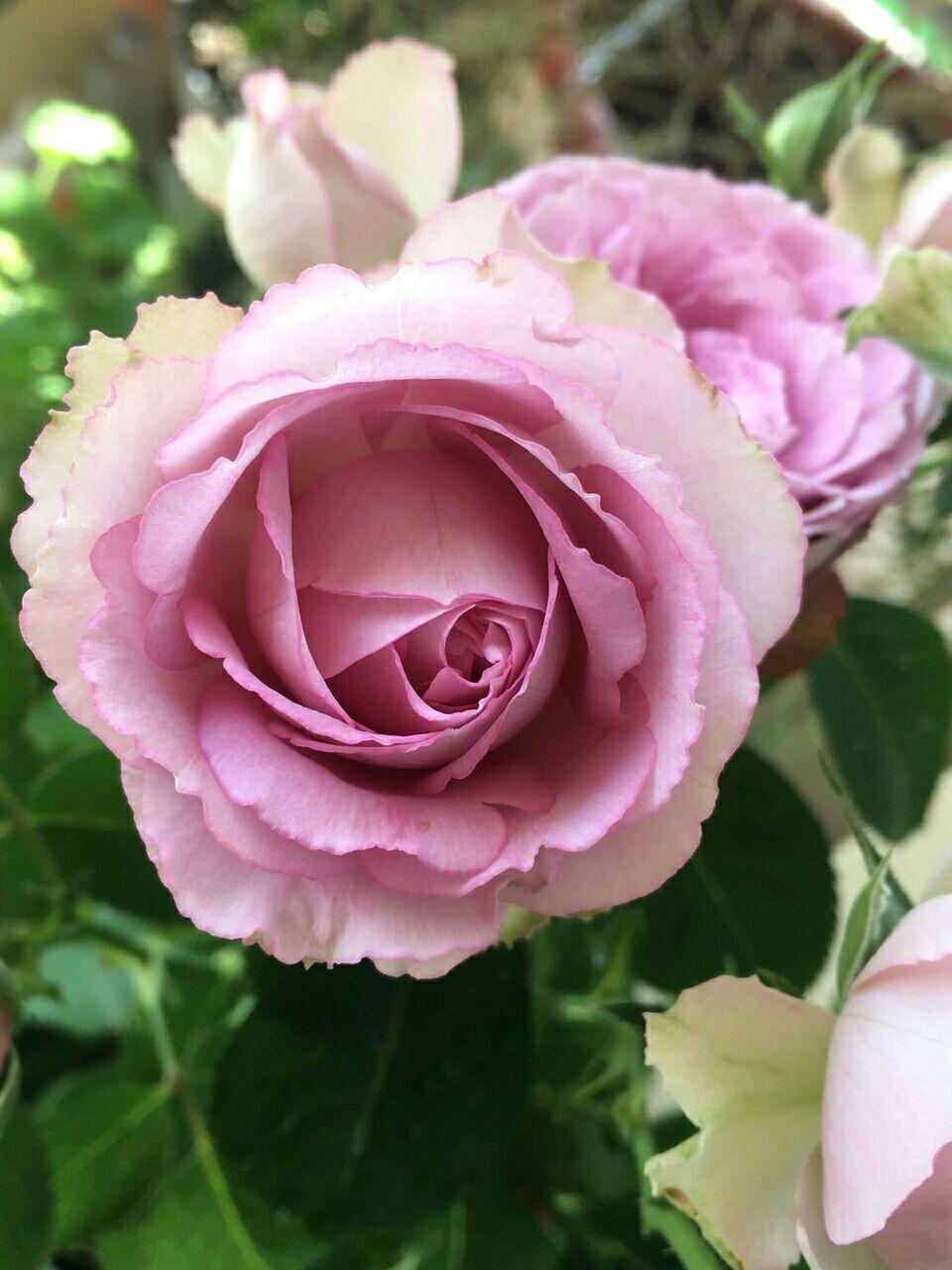 淘宝冷门类目产品利润高吗？揭秘高利润冷门产品推荐