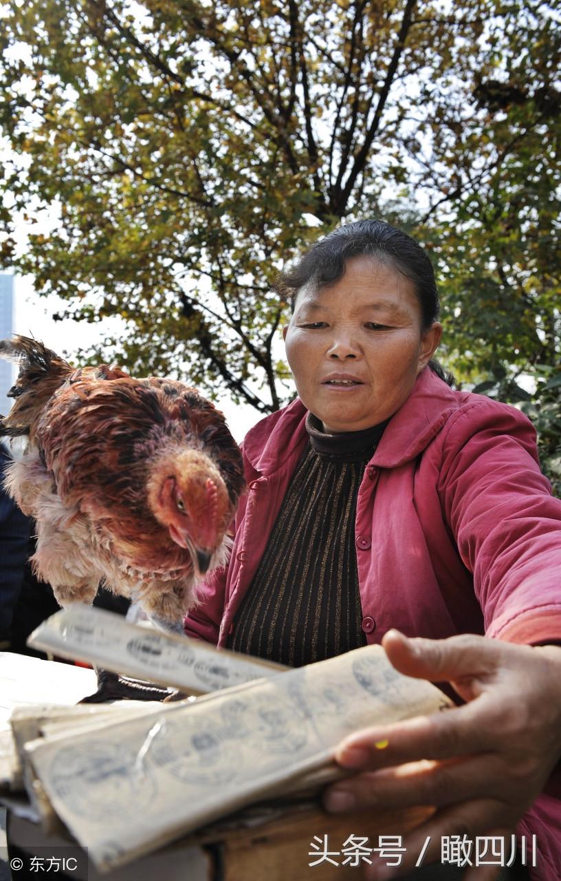 算卦签真的能预测未来吗？