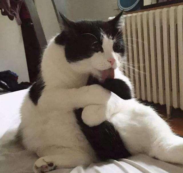 抖音评论区怎么突然白茫茫一片？iOS用户如何自救？