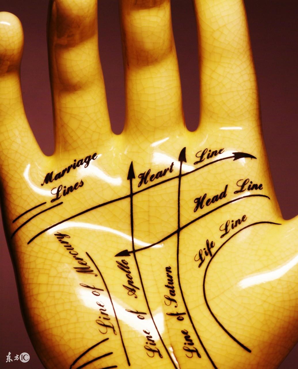掌纹真的能看透你的人生吗？