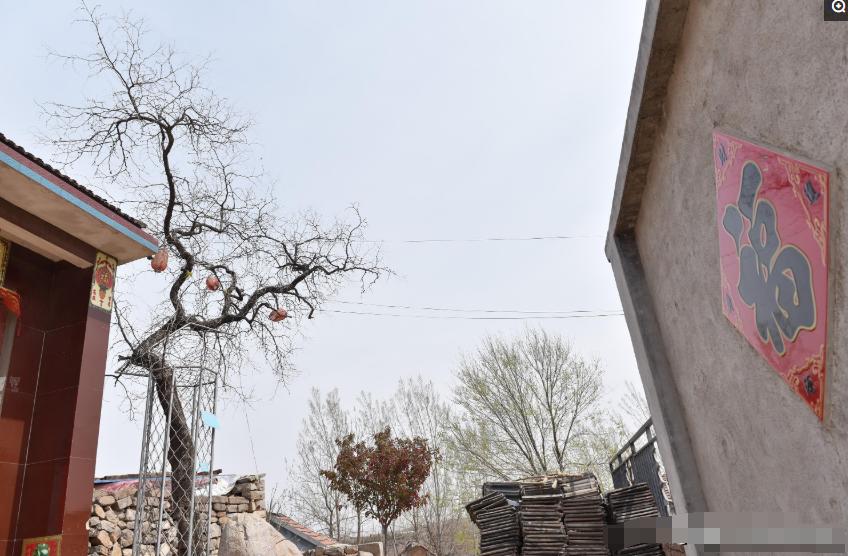 赵姓起名怎么避开 烂大街 还能显文化？