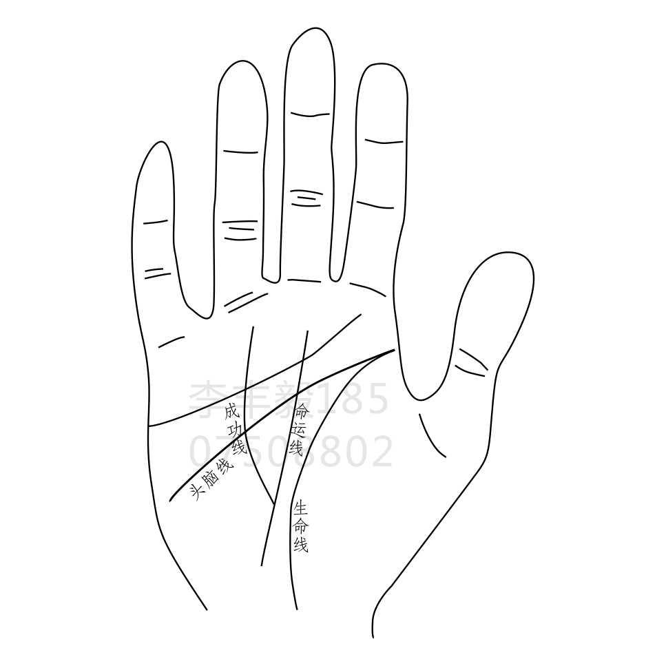 手相中的事业线到底准不准？看完这篇你就懂！