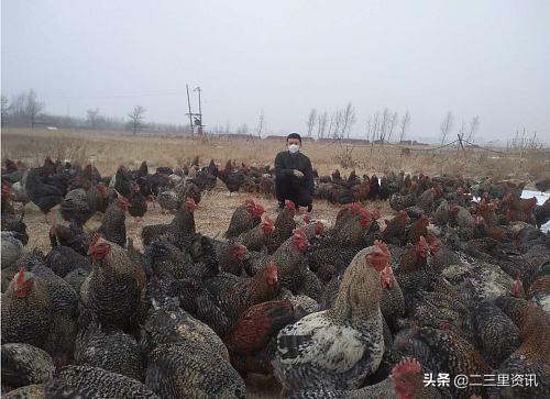 淘宝买东西出问题只能干着急？