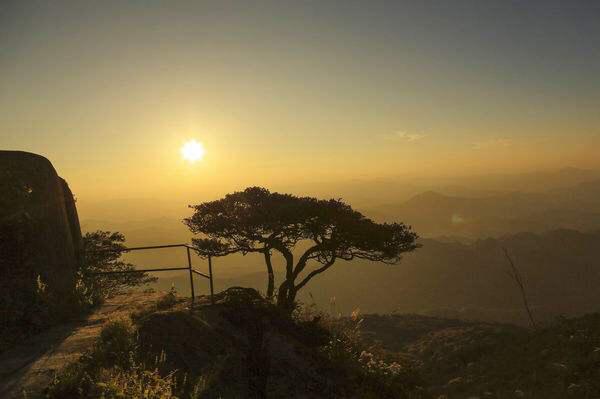 银龙鱼端上桌会不会当场翻车? 银龙鱼端上桌会不会当场翻车?