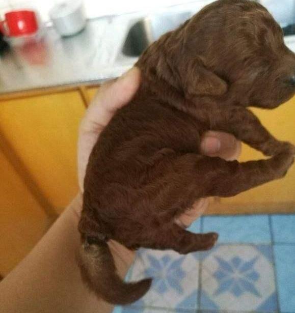 淘特商家入驻流程详解：如何成为淘特商家及保证金规则