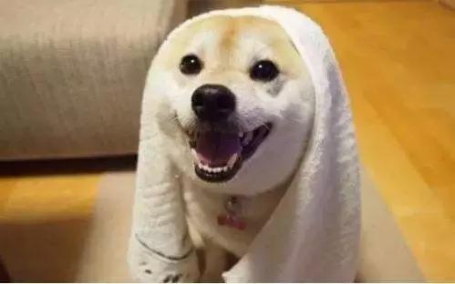 网购怕被骗？钱给了东西没到怎么办？