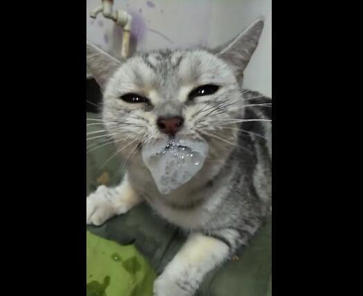 2009年7月1日到底发生了什么大事？