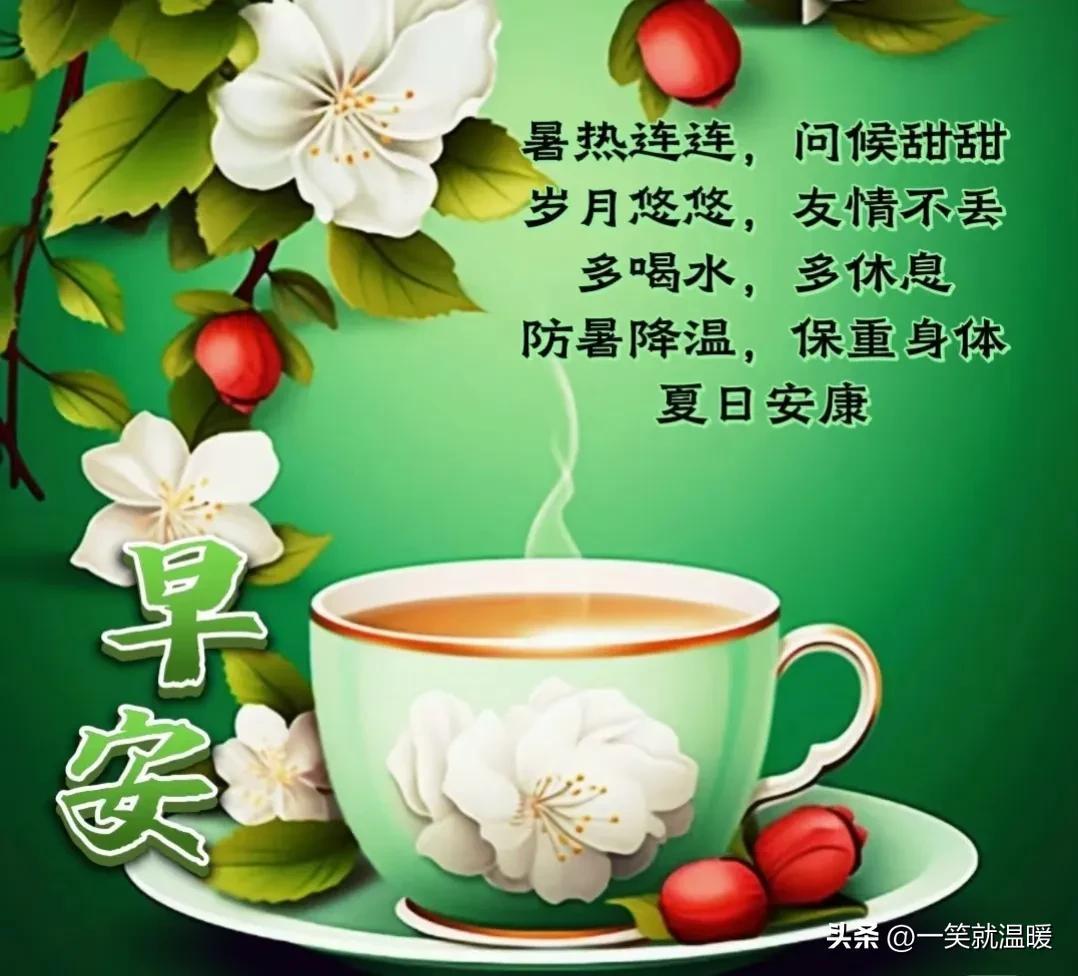 特价猫真的能省下生活费吗？