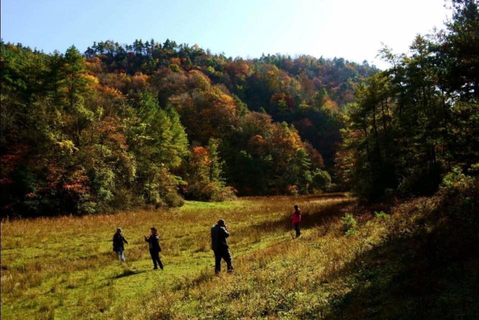 零基础新手淘宝开店全攻略：从入门到精通的实用技巧
