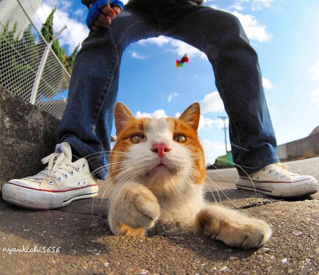 把钱放余额宝真能躺着赚钱吗？