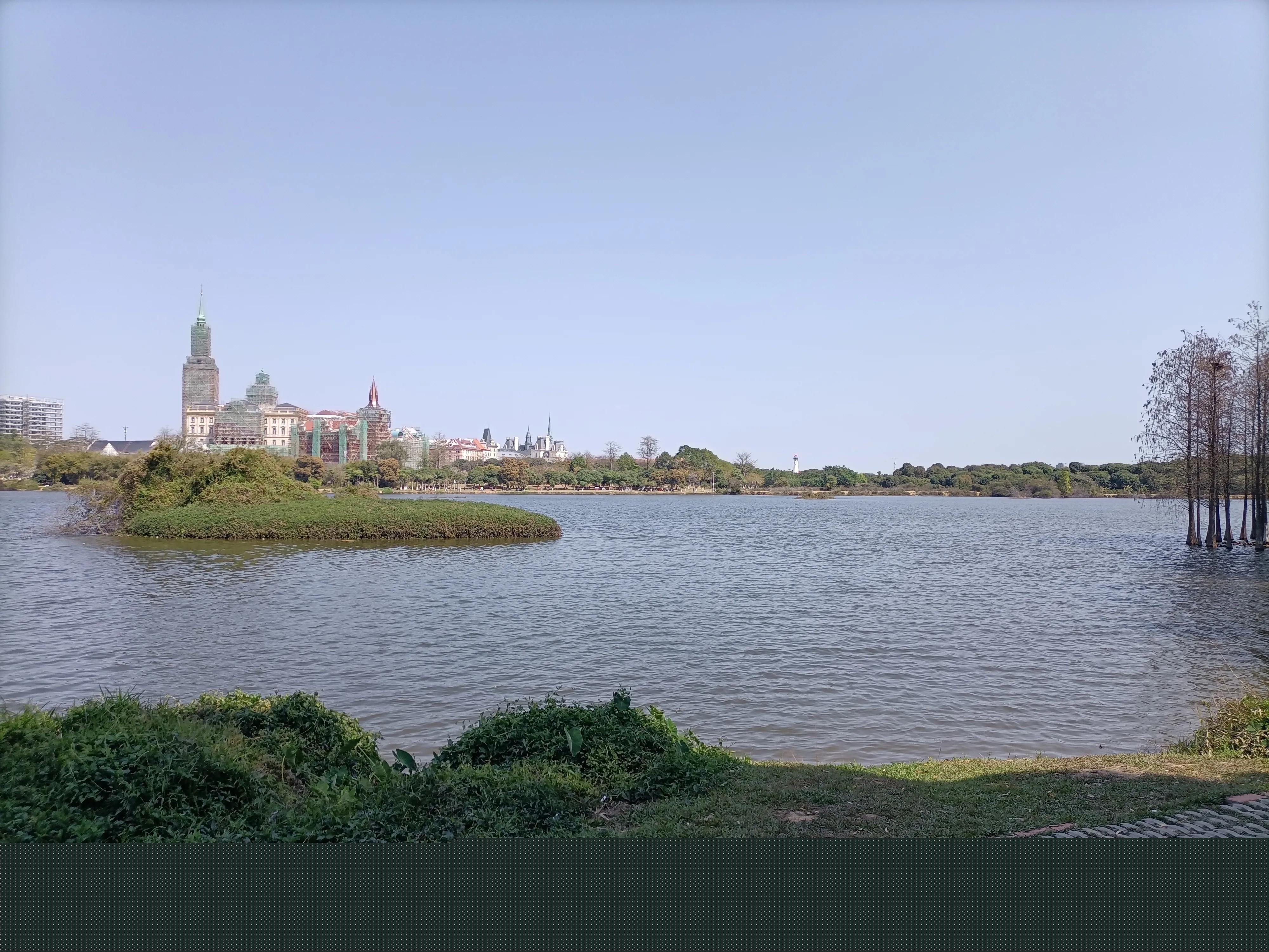 英国斗牛犬好养吗？波奇网为你答疑解惑