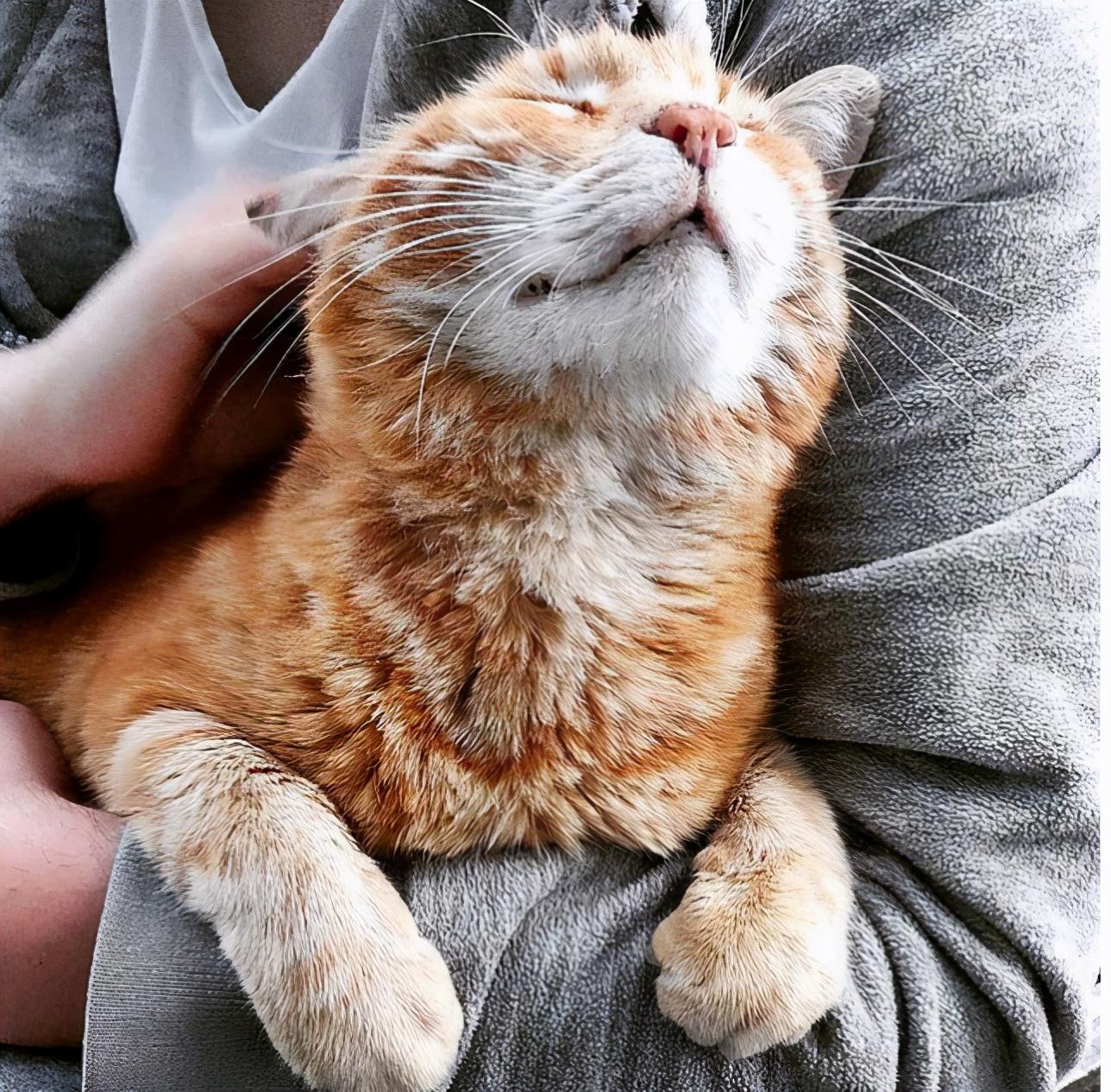 淘宝直通车入口到底藏在哪？新手必看避坑指南