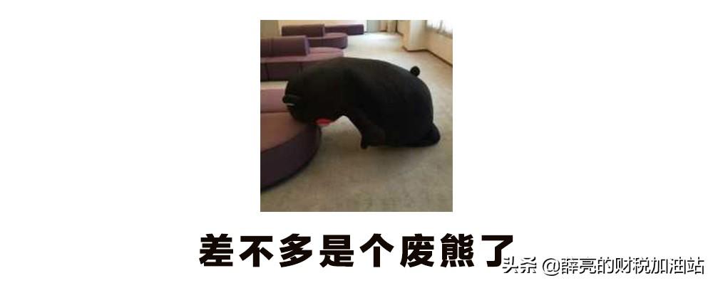 手把手教你让八哥开口说话？