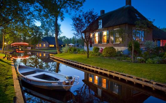 芦苇到底能用来做什么？