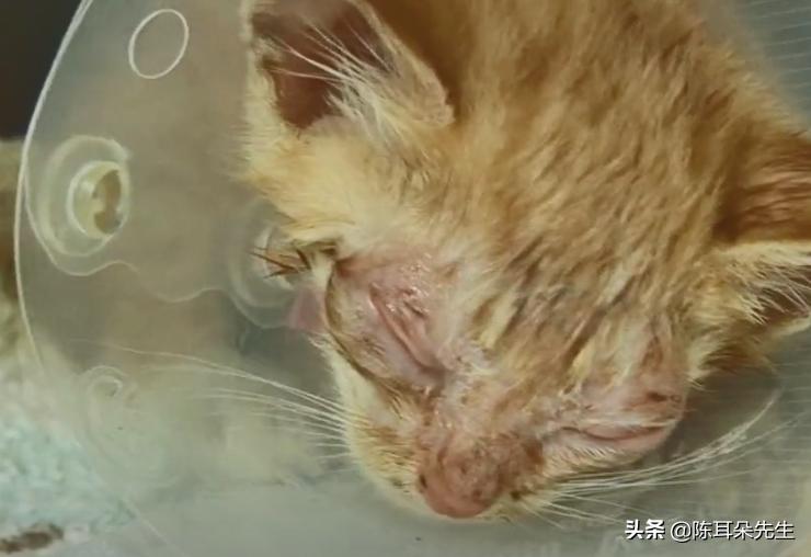 淘宝店铺装修素材哪里找？