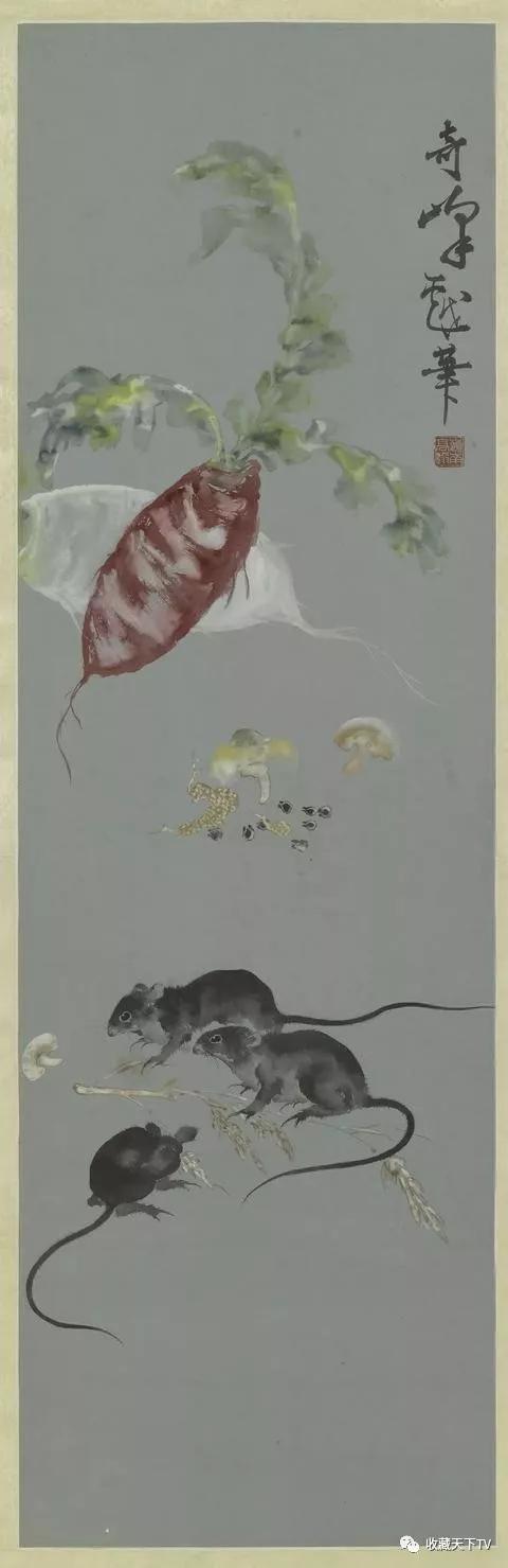 宠物松鼠有哪些种类？一起来了解松鼠的形态特征以及习性