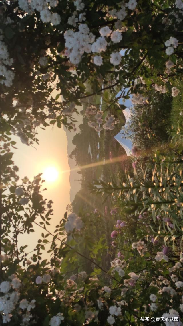 5月9日究竟藏着多少你不知道的秘密？