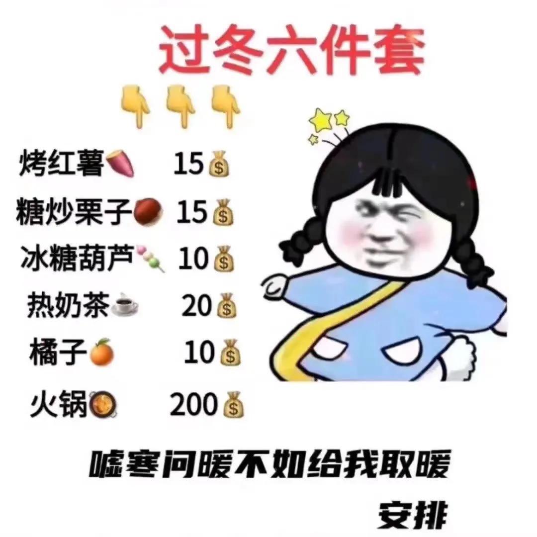 宠物猫过冬的秘密：竟然也有专属四件套