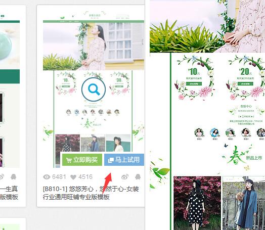 淘宝店铺装修模板怎么选择