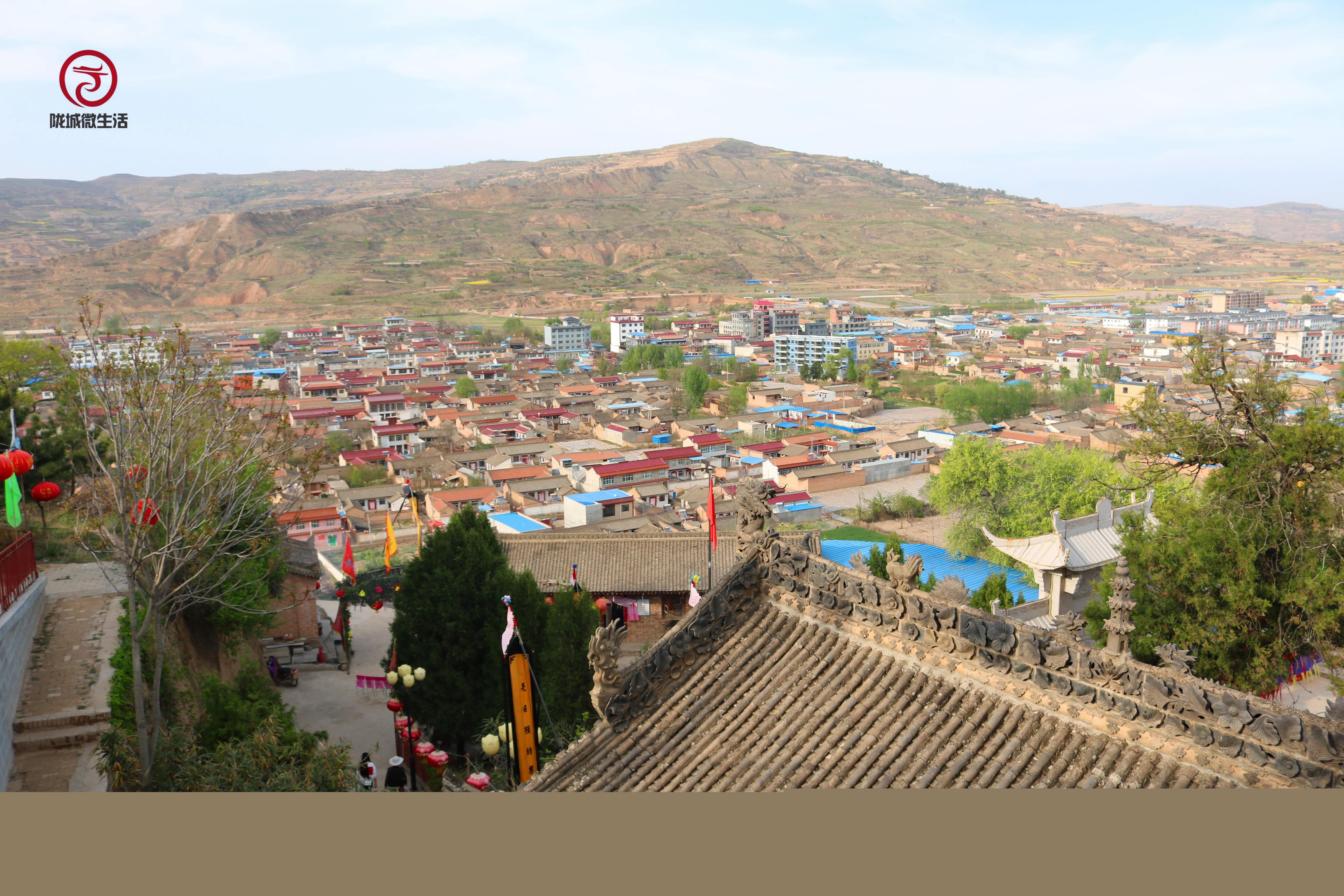 雪橇狗到底该吃啥才健康？